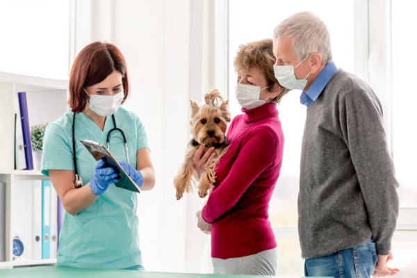Common Zoonotic Diseases Every Pet Owner Needs to Know