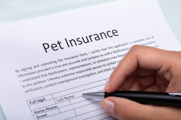 what is pet insurance