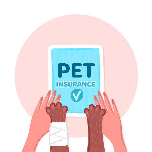 Do You Need Pet Insurance