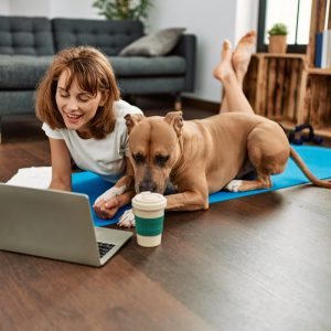 Image of dog viewing laptop with owner